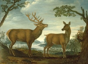 Stag and Hind in a Wooded Landscape by German School